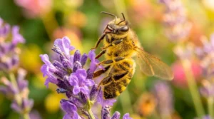 jokes about bees